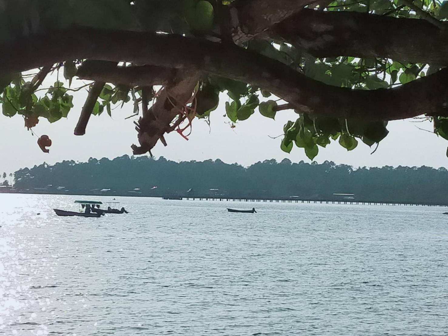 Eastique Hotel Koh Chang 达叻府 外观 照片